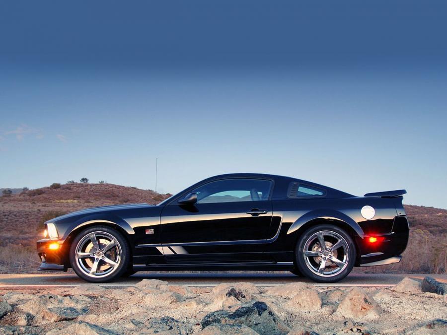  Saleen S302 Extreme 2008 года  (фото 12 из 31)